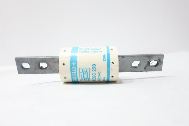 GOULD FESC 250 BLADE FUSE 250A AMP 600V-AC