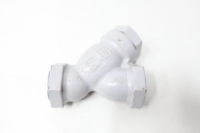 TITAN-FCI YS82 STEEL SOCKET WELD STRAINER 600 1IN