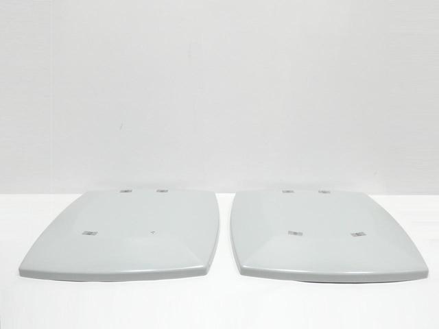 BOX OF 2 HOLOPHANE CW2ACAGR STANDARD GRAY HOOD