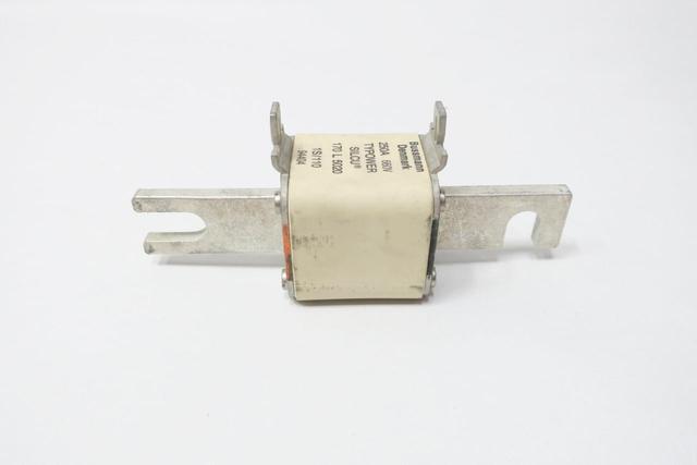 COOPER BUSSMANN 170L5020 FUSE 250A AMP 660V-AC