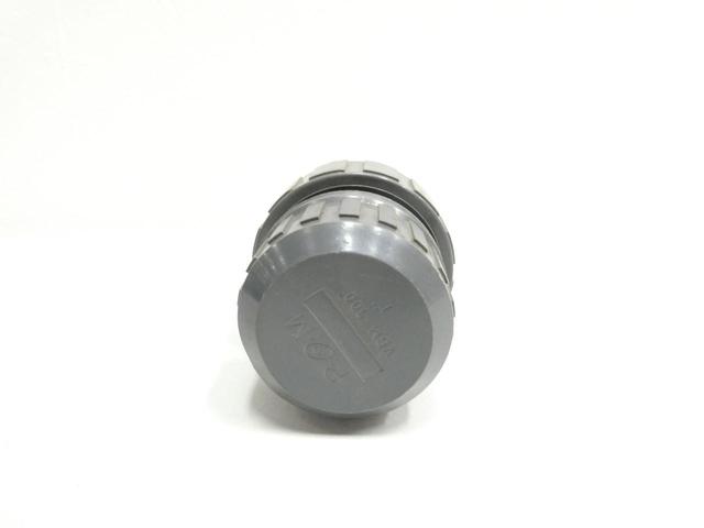 PLAST-O-MATIC VBM100EP-PV PVC CHECK VALVE 1IN NPT