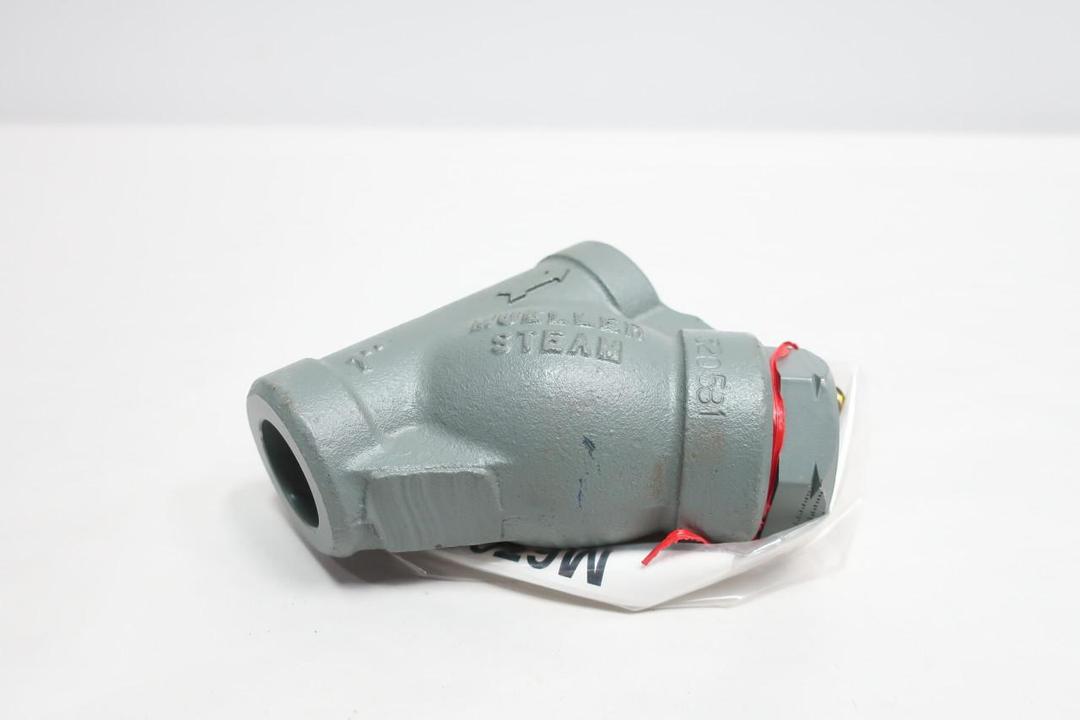 MUELLER 864MCS STEEL SOCKET WELD STRAINER 1IN