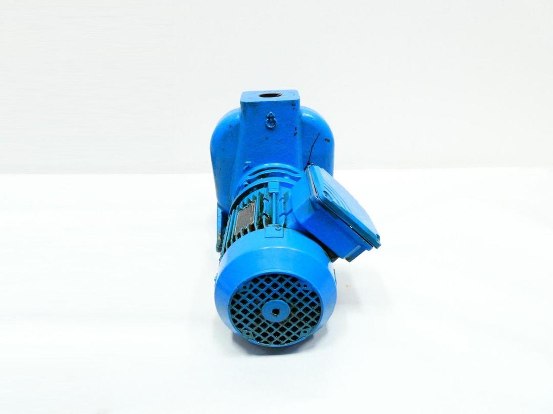DURR FREF 32-110 G1MQ0 17-3393846A ECOCLEAN PUMP 3/4KW 230/265/400/460V-AC