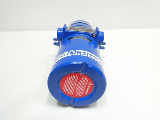 VEGA DSGH-A-A4H-XXX-30 RADIATION BASED DSG DETECTOR 250V