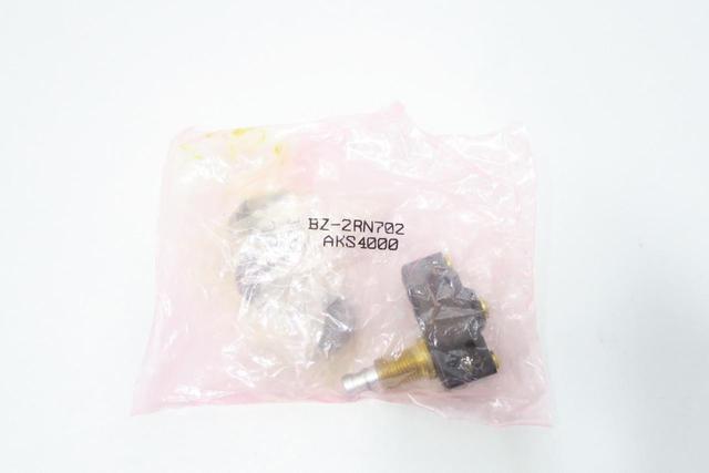 SELECTA BZ-2RN702-BG REPLACEMENT PLUNGER SWITCH 250V-AC