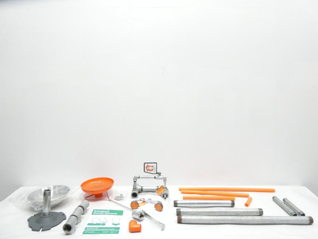 GUARDIAN EQUIPMENT G1950 DRENCH SHOWER WITH FACE/EYEWASH STATION