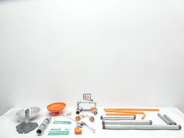 GUARDIAN EQUIPMENT G1950 DRENCH SHOWER WITH FACE/EYEWASH STATION