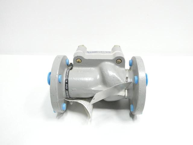 NGC V700K2ZZ0N20T STEEL FLANGED CHECK VALVE 2IN 150