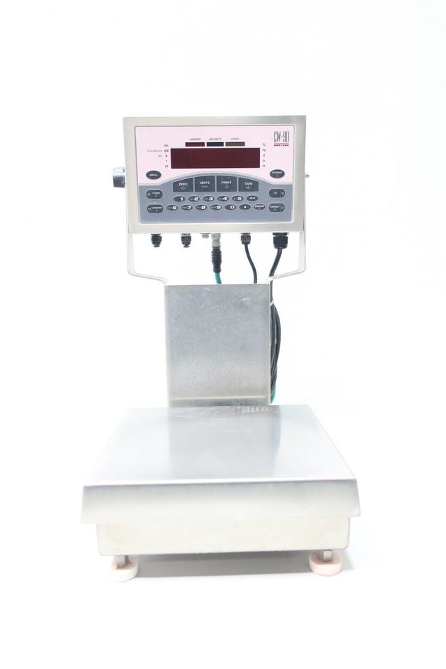 RICE LAKE CW90-A OVER/UNDER CHECKWEIGHER 115V-AC